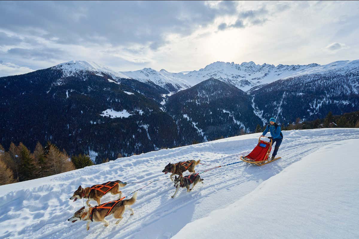 Sleddog con gli Husky Village di Arnoga&nbsp; Bormio per gli innamorati: a ciascuno il suo San Valentino