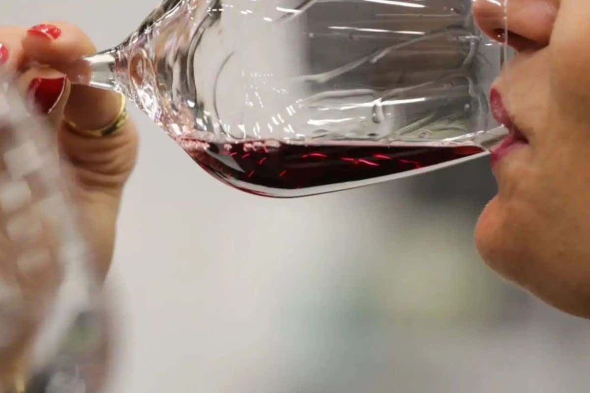 A Bologna Slow Wine Fair 2024: il diritto a un suolo sano per un vino sano