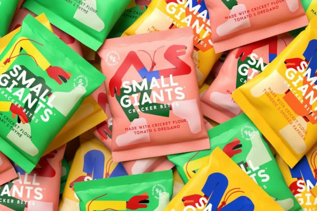 Da Londra a Milano: ecco i crackers di farina di insetti