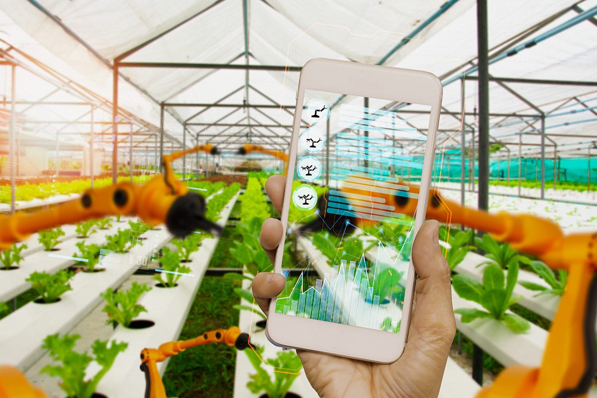 L'intelligenza artificiale può aiutare ristoranti e agroindustria?
