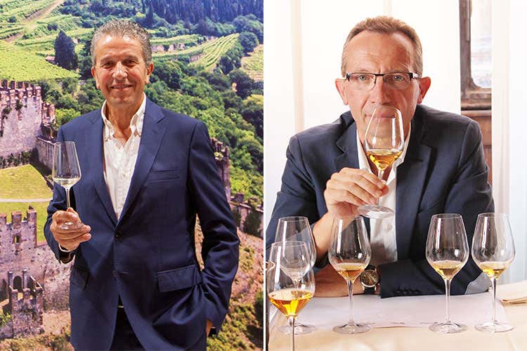 (Vino, cultura e territorio Così rinasce il Soave)