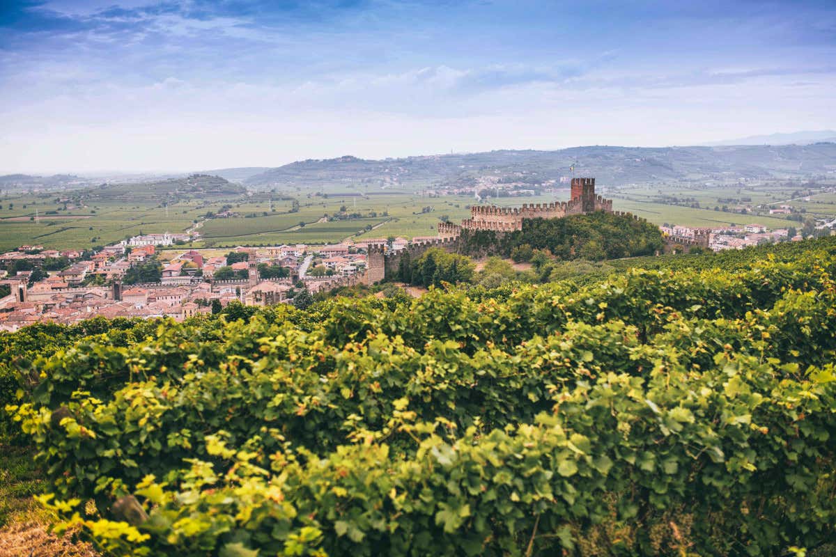 Soave Cultura, intrattenimento e buon vino: è nato Soave MultiVerso