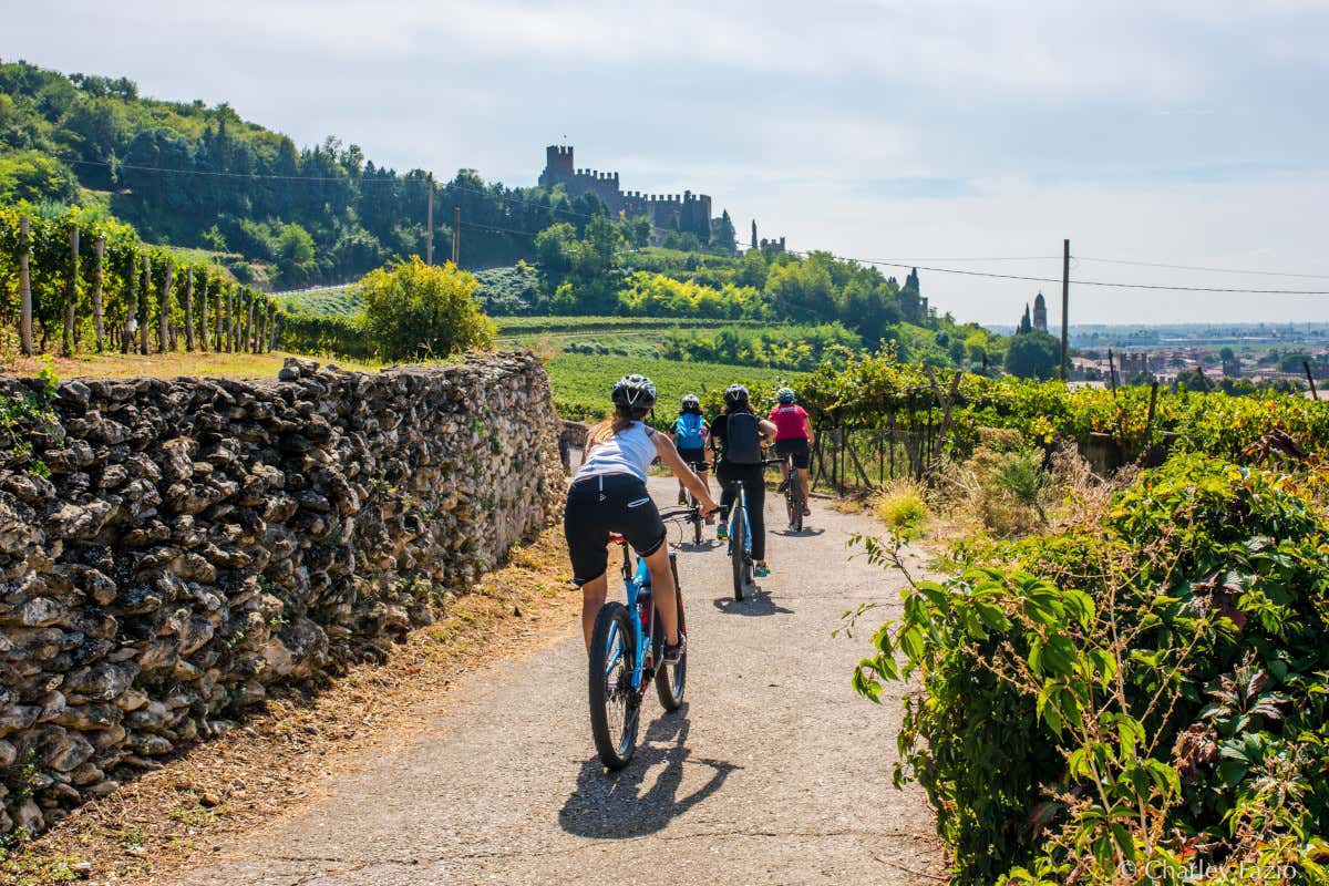 In bici nel territorio del Soave. Foto Consorzio del Soave Alla scoperta dei vigneti del Soave in ebike