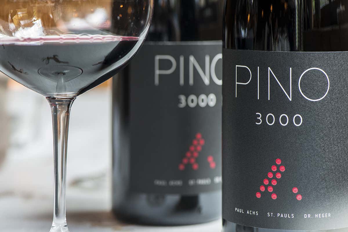 Pinot 3000. Foto: Stefano Scatà Valle dell’Ötztal, estate in montagna tra mummie, bici e agenti segreti