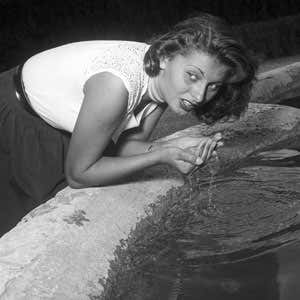 Sofia Loren