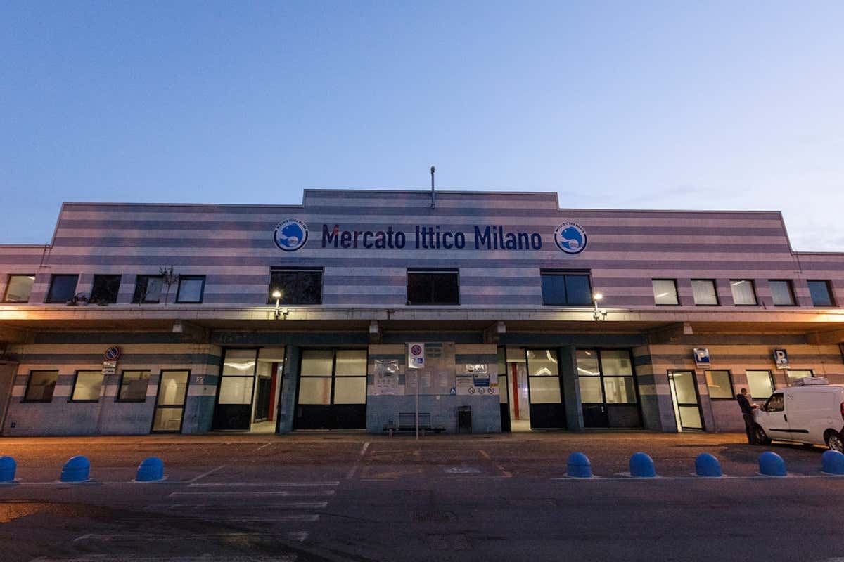 Il Mercato Alimentare di Milano vive già dalle prime luci dell'alba