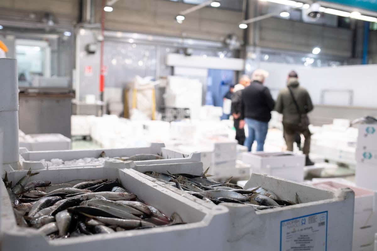 Ogni notte, i camion refrigerati scaricano tonnellate di pesce che riforniscono i ristoranti di Milano