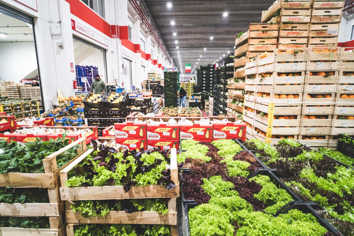 Il nuovo padiglione ortofrutta segna la svolta di Sogemi, hub del cibo in Europa