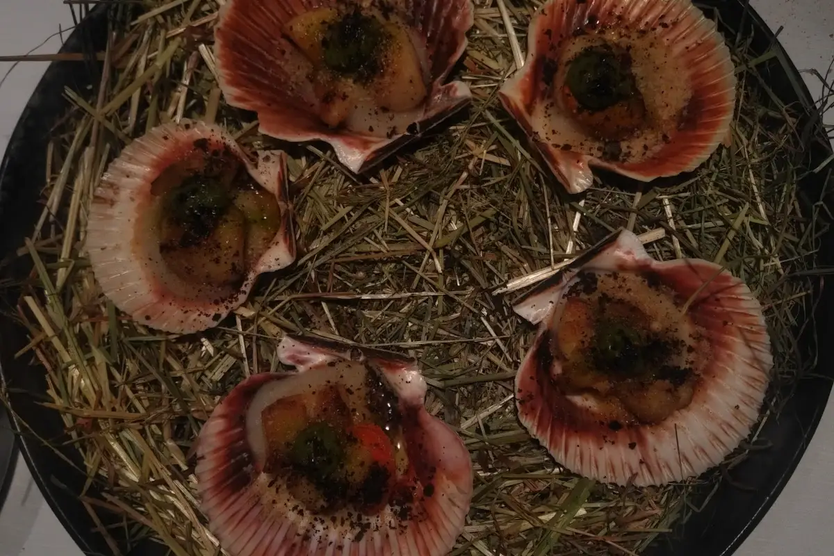 Soho Restaurant, dove mangiare del buon pesce a Genova