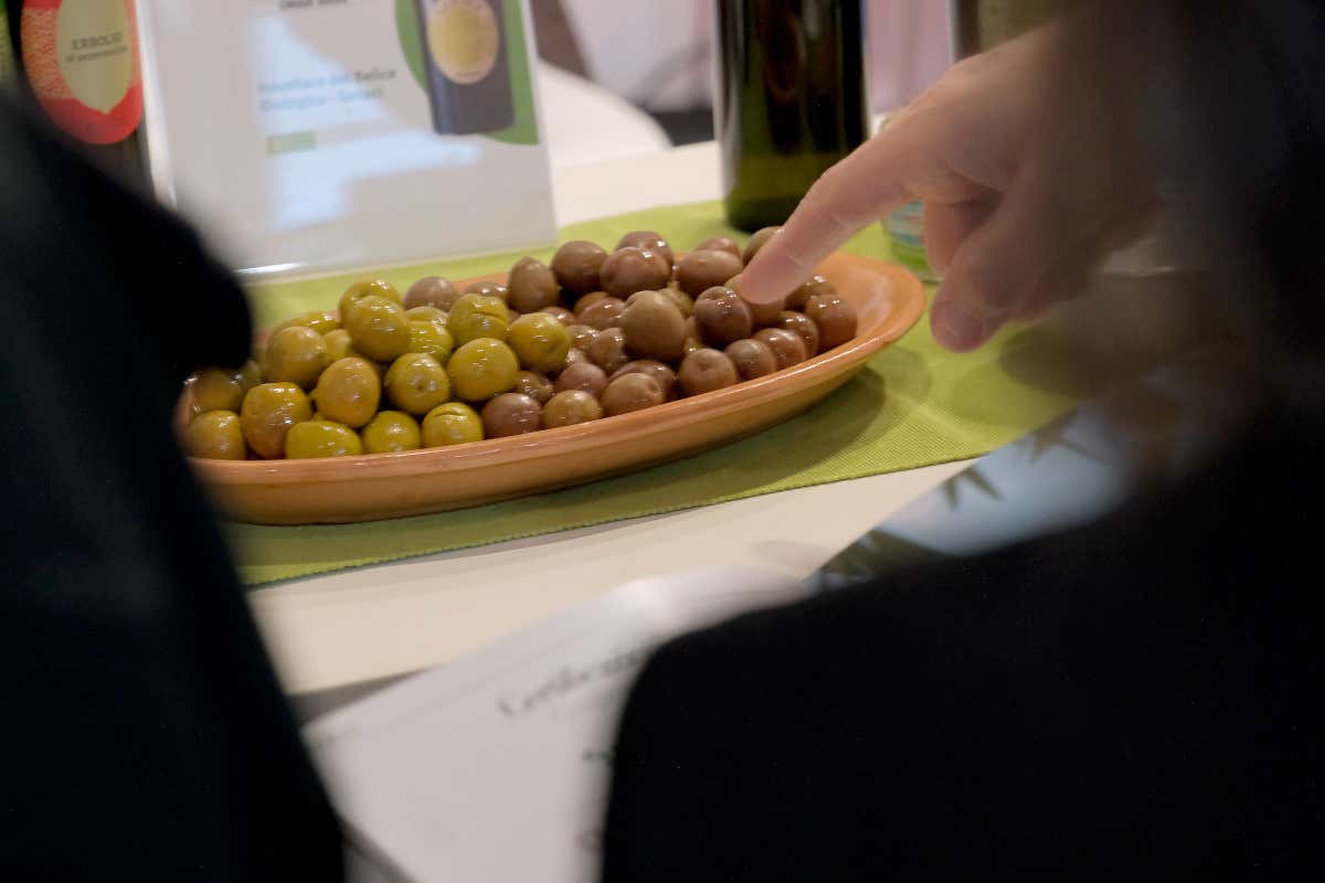 Olio Evo protagonista a Sol Expo 2026 tra showcooking e degustazioni Olio Evo protagonista a Sol Expo 2026 tra showcooking e degustazioni