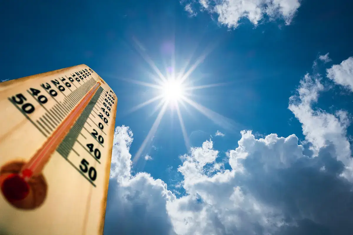 Il caldo non risparmia la frutta: -15% sui raccolti