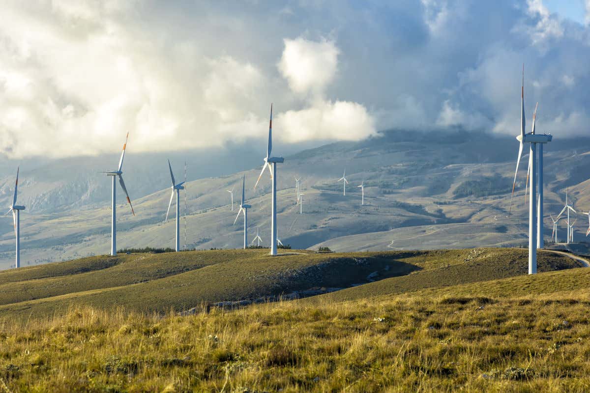 La sfida: transizione ecologica e rivoluzione verde Ristorazione al bivio ripensare il futuro al servizio del Paese