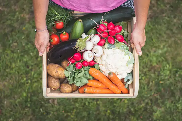 Innovazione e solidariet&agrave;, il binomio per sostenere l'industria alimentare Carrefour riunsce la filiera del ciboper una vera transizione alimentare