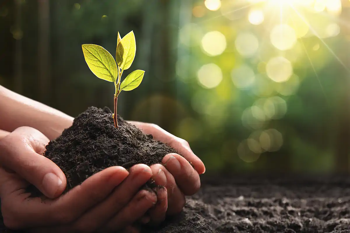 Fao e Unesco in prima linea con progetti che coinvolgono citt&agrave; e produttori GATRONOMIA SOSTENIBILE - DA FINIRE