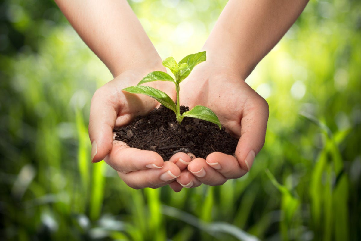 Agricoltura sostenibile l'accordo per un nuovo modello: sociale ambientale ed economico