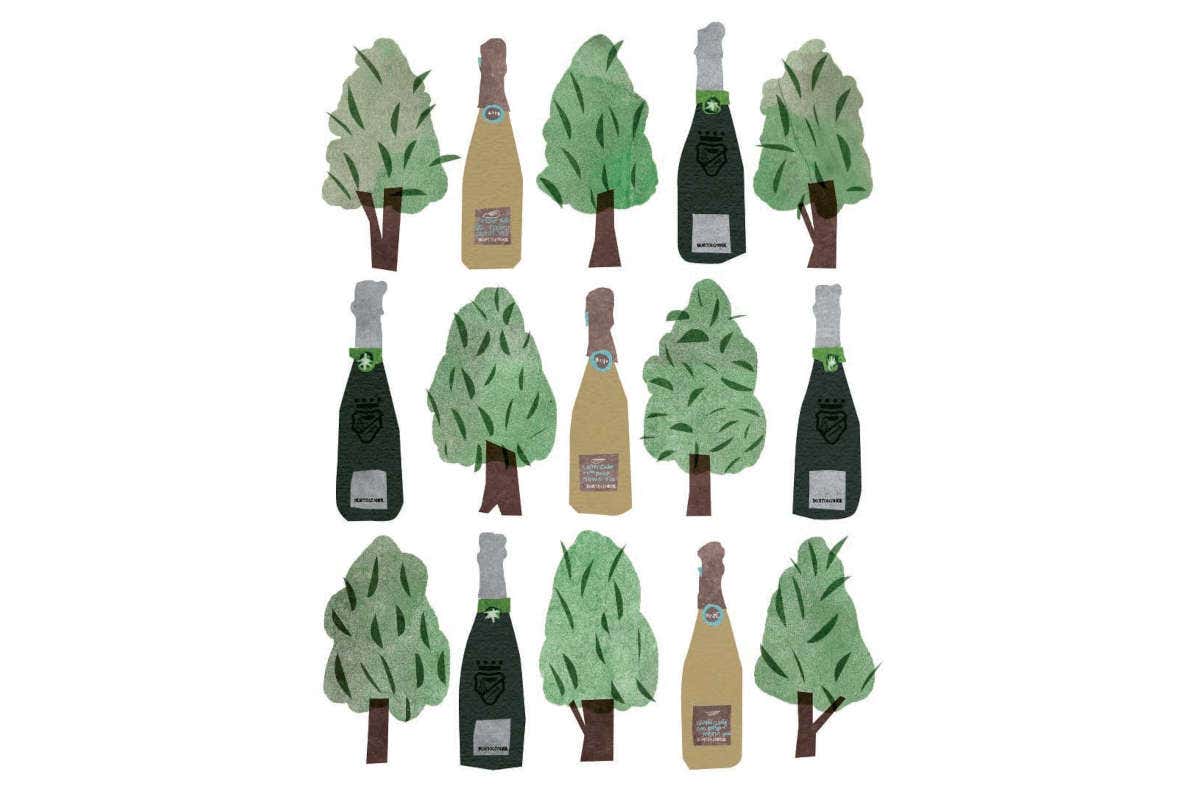 Bortolomiol prima azienda vinicola con certificazione ambientale EPD