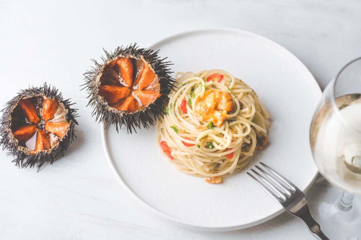No secco agli spaghetti con i ricci di mare Addio agli spaghetti ai ricci di mare: Lino Scarallo contro la pesca di frodo