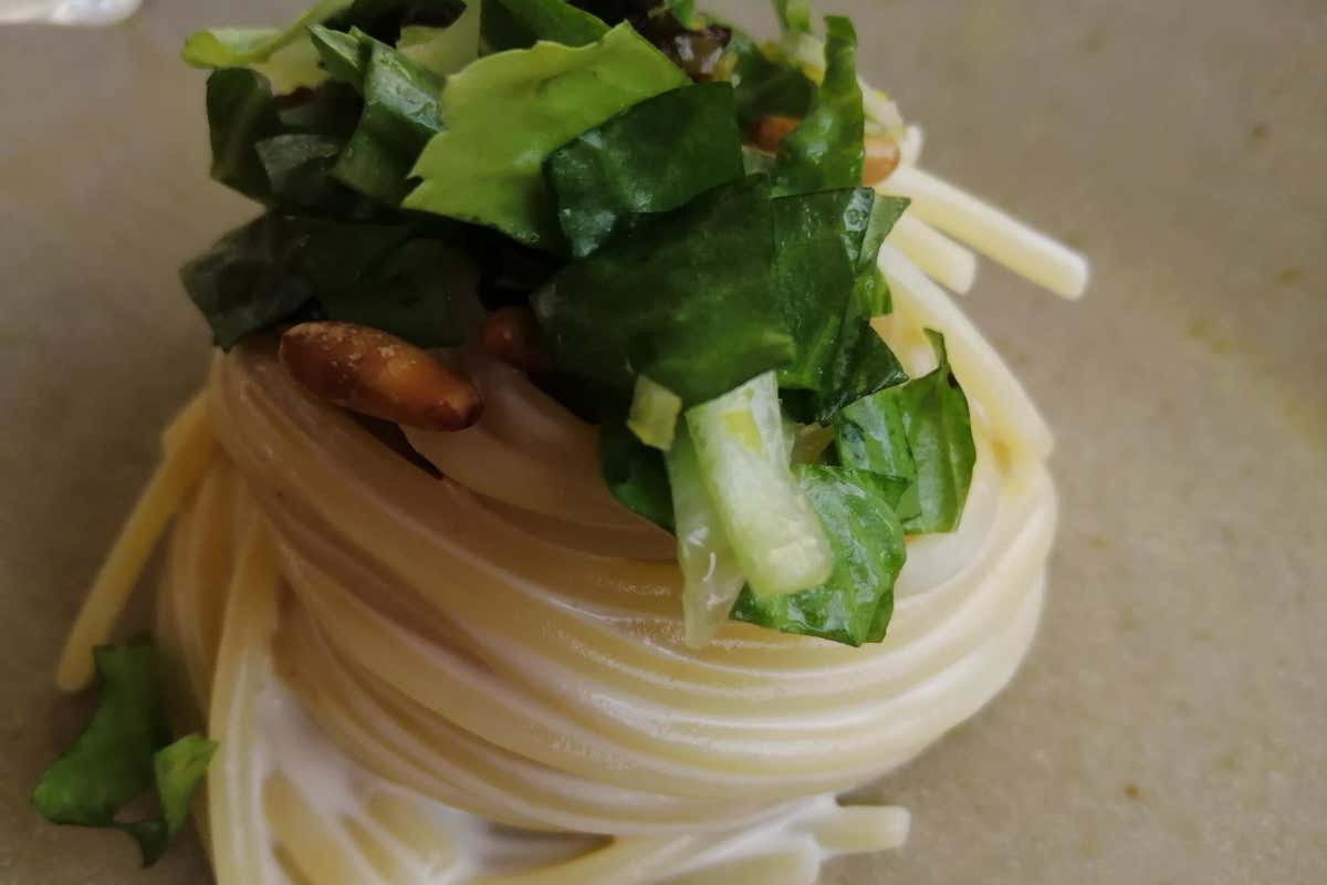 La Genisia: un connubio perfetto tra vino, cibo e natura nell'Oltrepò pavese