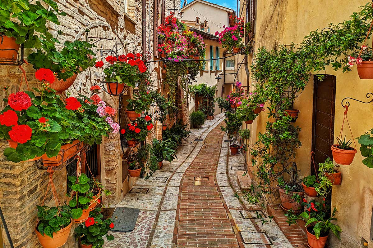 celebri vicoli fioriti di Spello, un museo a cielo aperto dove ogni angolo diventa un quadro dipinto dalla natura e dalla cura dei suoi abitanti