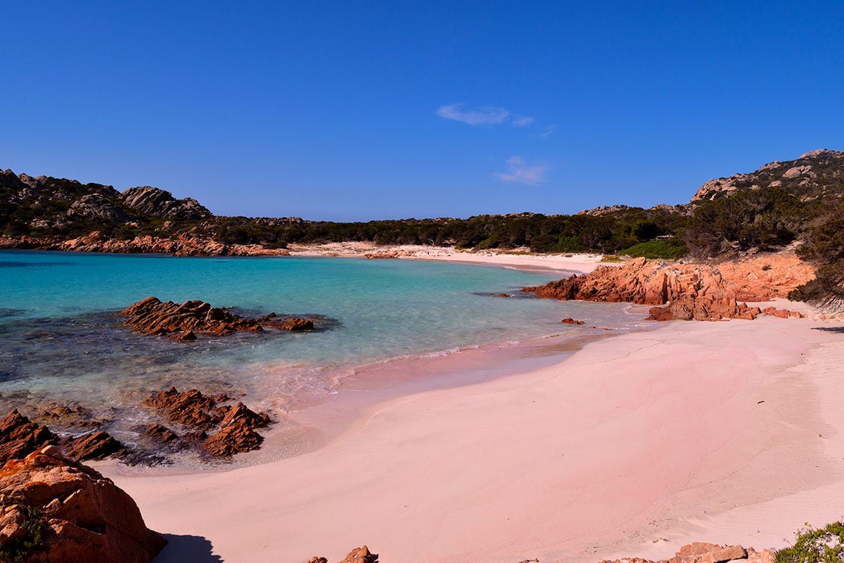 La sabbia rosa di Budelli Sabbia rosa di Budelli scambiata su Facebook: la denuncia dalla Sardegna