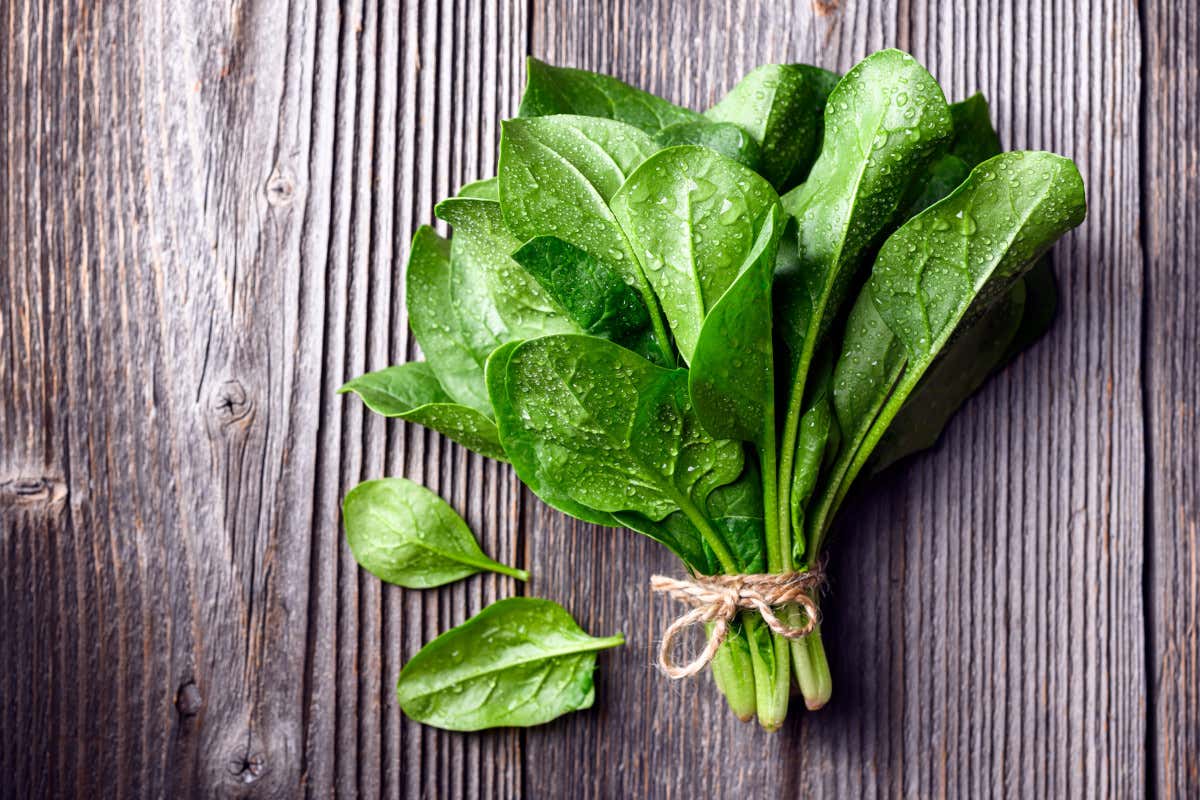 Spinaci: storia, valori nutrizionali e come usarli al meglio in cucina