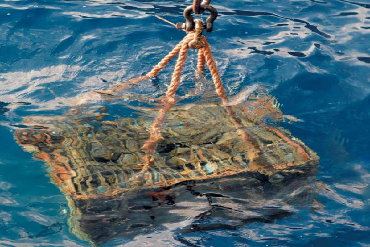 Dieci spumanti per un brindisi alternativo. Anche sott'acqua! Dieci spumanti per un brindisi alternativo. Anche sott'acqua!