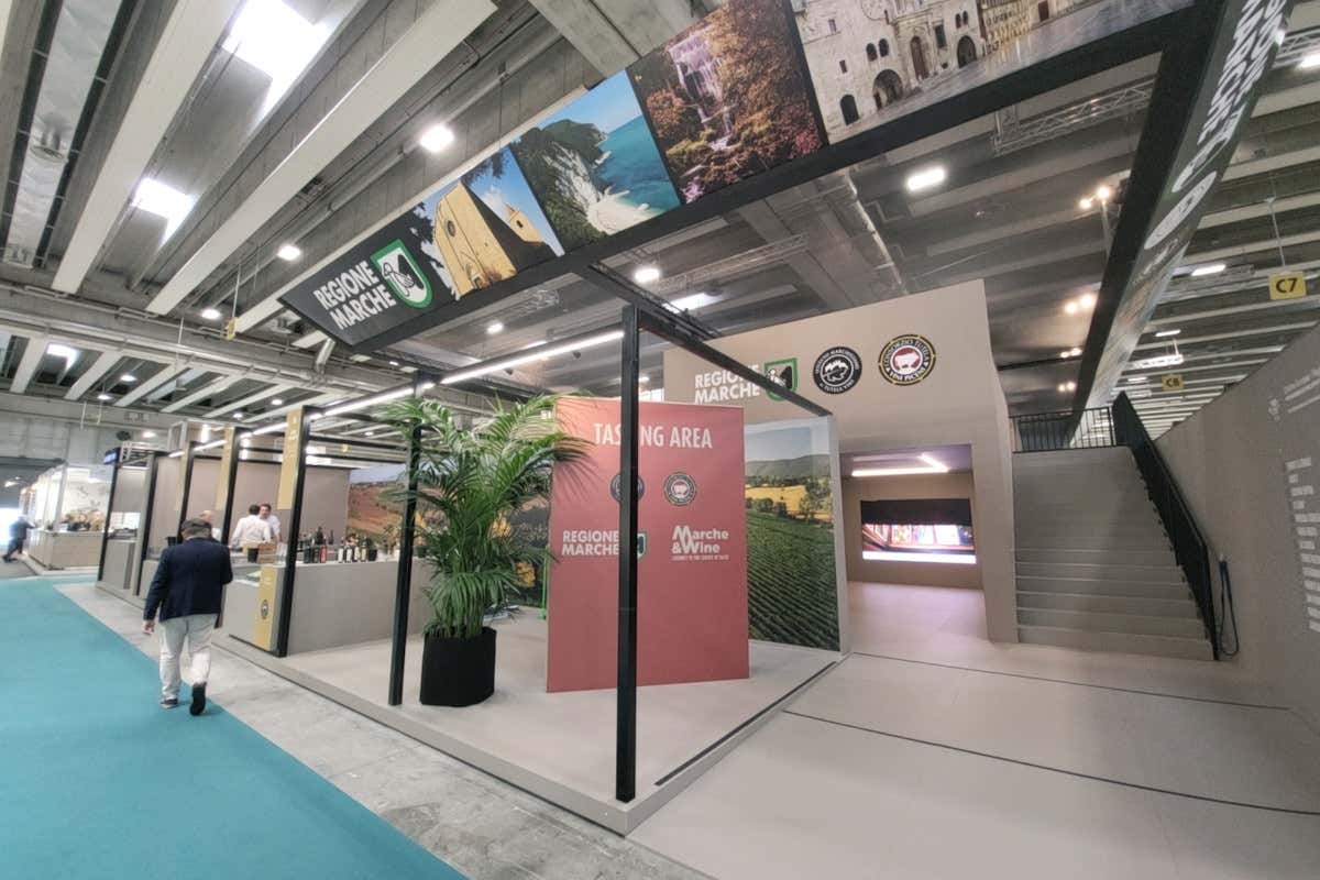 La sfida della sostenibilità per l'Istituto Marchigiano di Tutela Vini