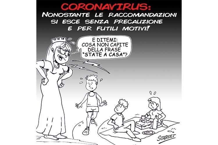 starlet - Stella Mei starlet - Stella Mei