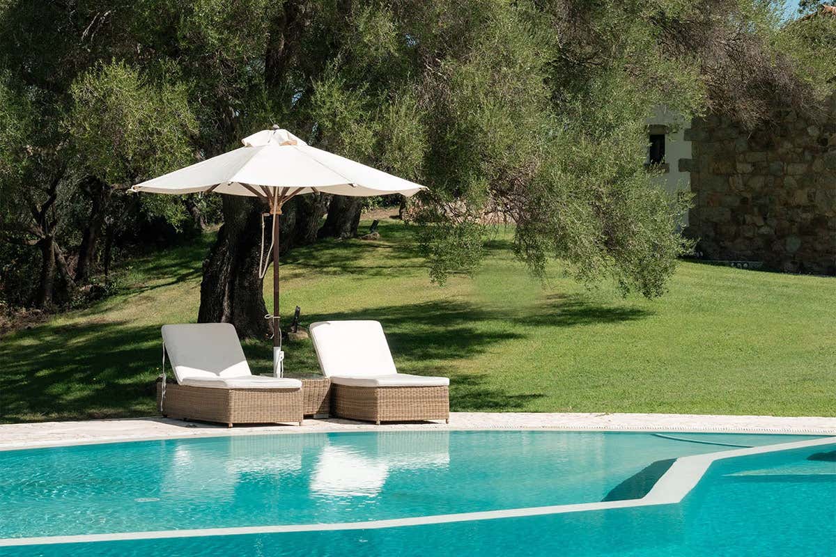 La Ciminea, dove la Sardegna di Gabriele Natali sorprende tra orto e memoria