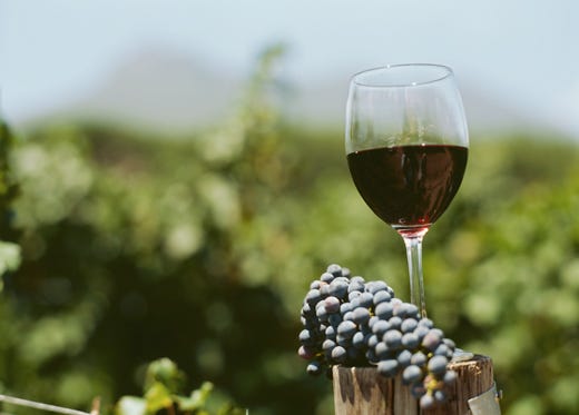 Palermo la provincia più “stellata”
sulla Guida ai vini di Sicilia 2013