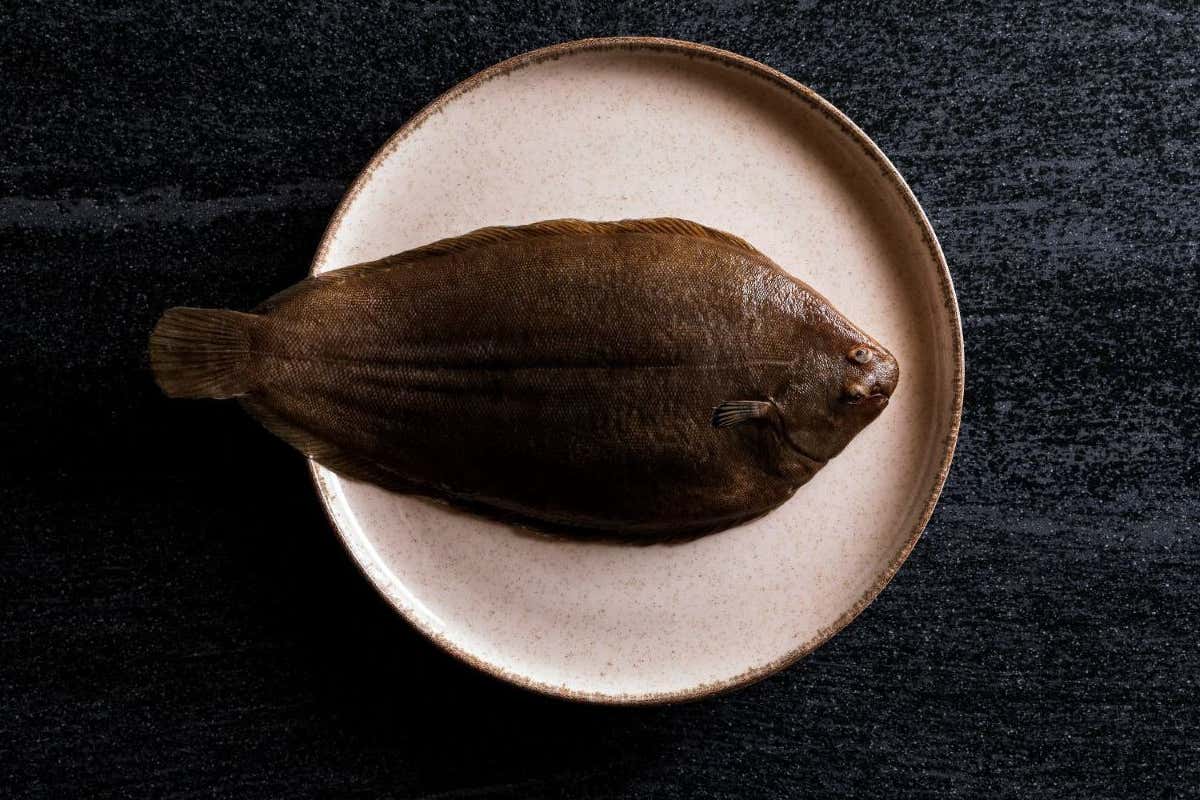 Neptura, il nuovo riferimento per rombo e sogliola nell&rsquo;alta ristorazione