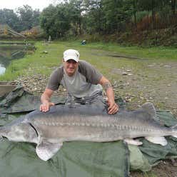 Mauro Rossetto