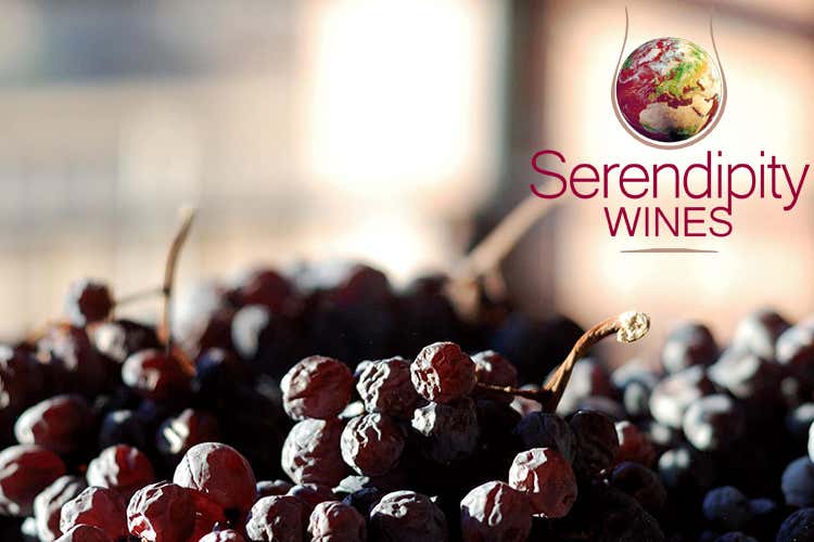 (La Strada del Vino Valcalepio dà vita a Serendipity Wines) (La Strada del Vino Valcalepio dà vita a Serendipity Wines)