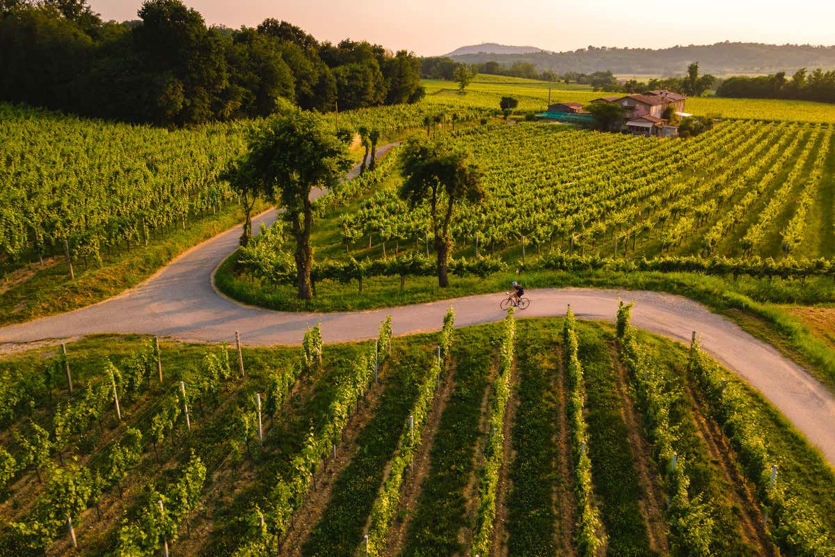 Giorgio Vezzoli è il nuovo presidente della Strada del Franciacorta Giorgio Vezzoli è il nuovo presidente della Strada del Franciacorta