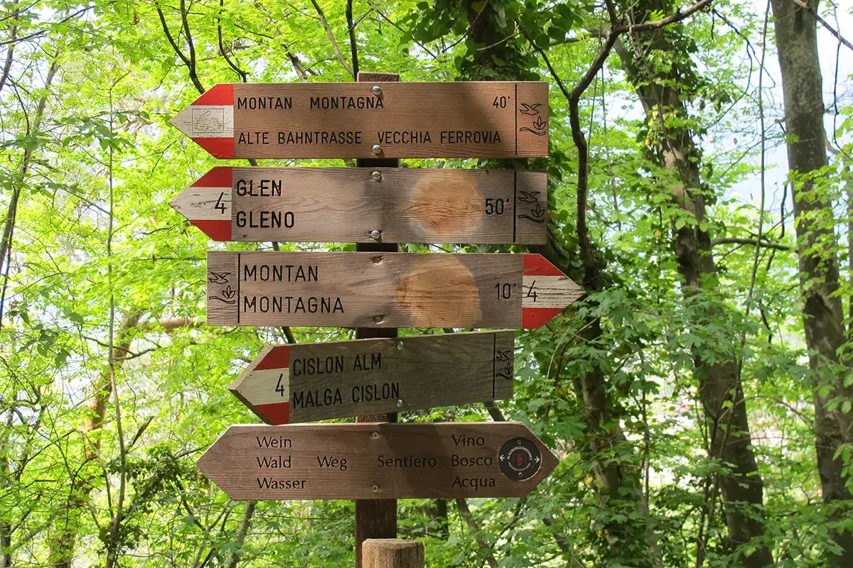 Attraversa i comuni di Ora, Montagna ed Egna&nbsp; Enoturisti in pellegrinaggio sul sentiero del Pinot Nero