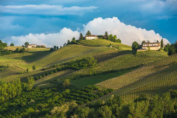 Sulle strade del Vermouth di Torino Tanti eventi tra le terre piemontesi