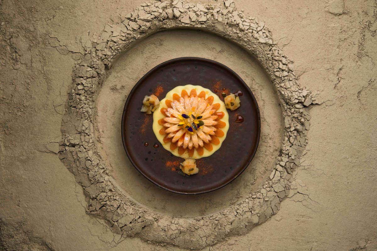 Dessert Carte D’Or Professional senza glutine,
veloci e semplici da preparare