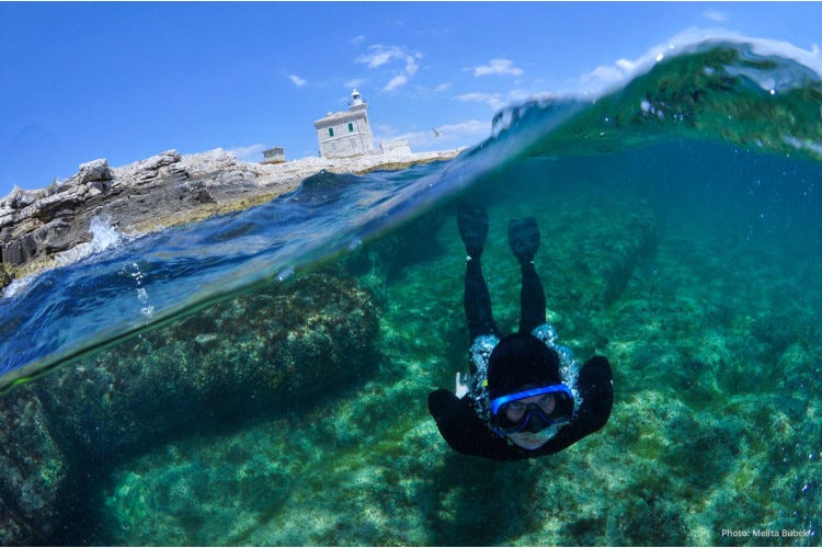Istria, Adriatico da scoprire con la testa sott’acqua