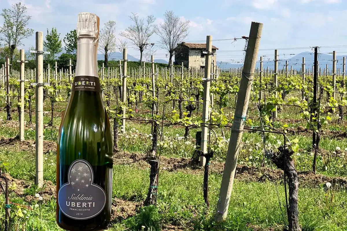 Sublimis Sublimis, le bollicine Franciacorta di Uberti portano sulle stelle
