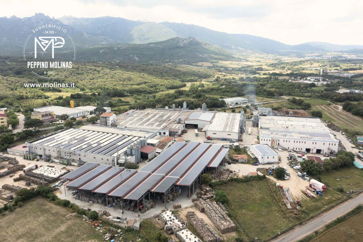 La sostenibilità ambientale come priorità assoluta, l’impegno dichiarato di Sugherificio Molinas