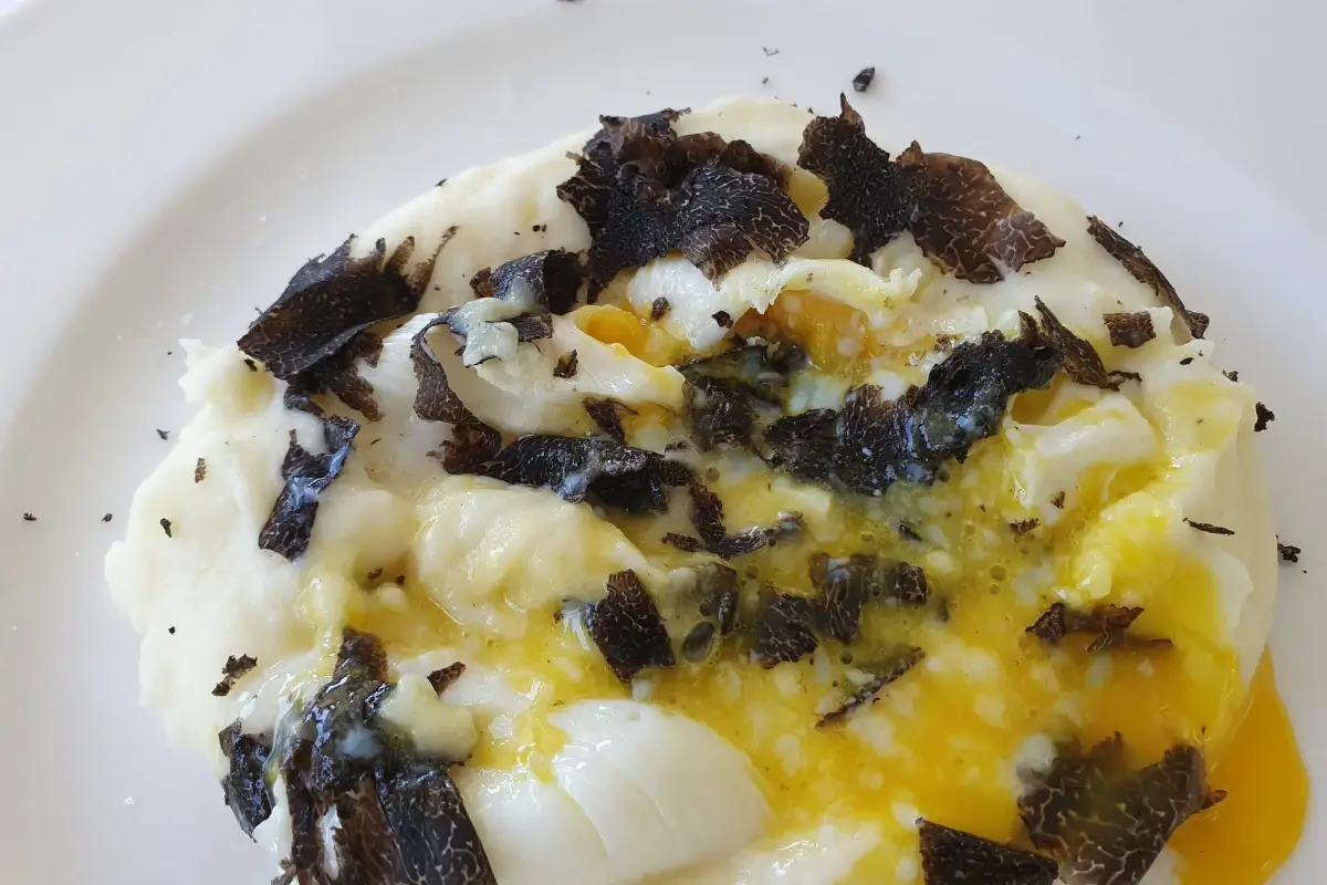 Il tartufo ama il vino e il vino esalta il tartufo. Un  binomio che unisce il bosco e la vigna