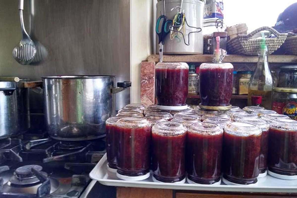 Suncaves Gardens, oasi di natura e benessere alle porte di Roma