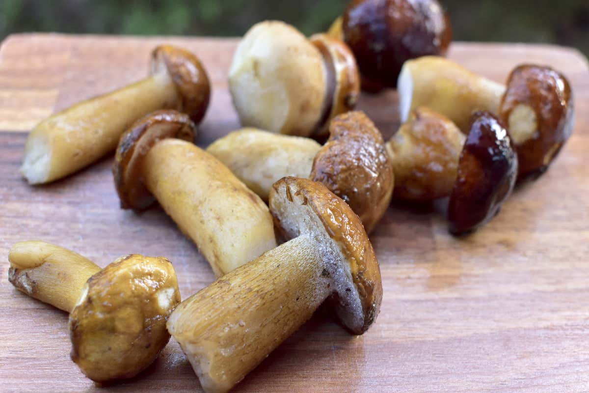 Tra i prodotti vegetali surgelati più in crescita i funghi