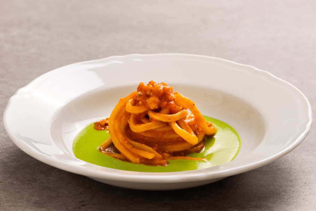 Nuovo logo, nuova gamma: la trasformazione di Surgital per la ristorazione professionale