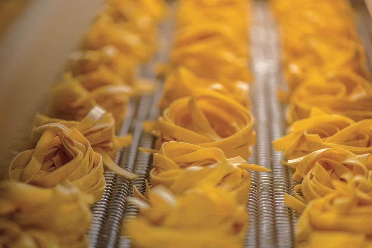 Nuovo logo, nuova gamma: la trasformazione di Surgital per la ristorazione professionale