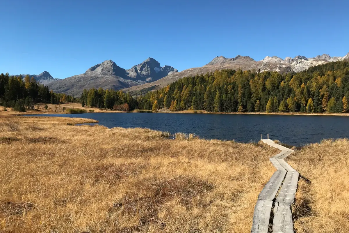 Il panorama dei Grigioni Il nuovo look del Cresta Palace Hotel, icona Art Noveau nel cuore dell'Engadina