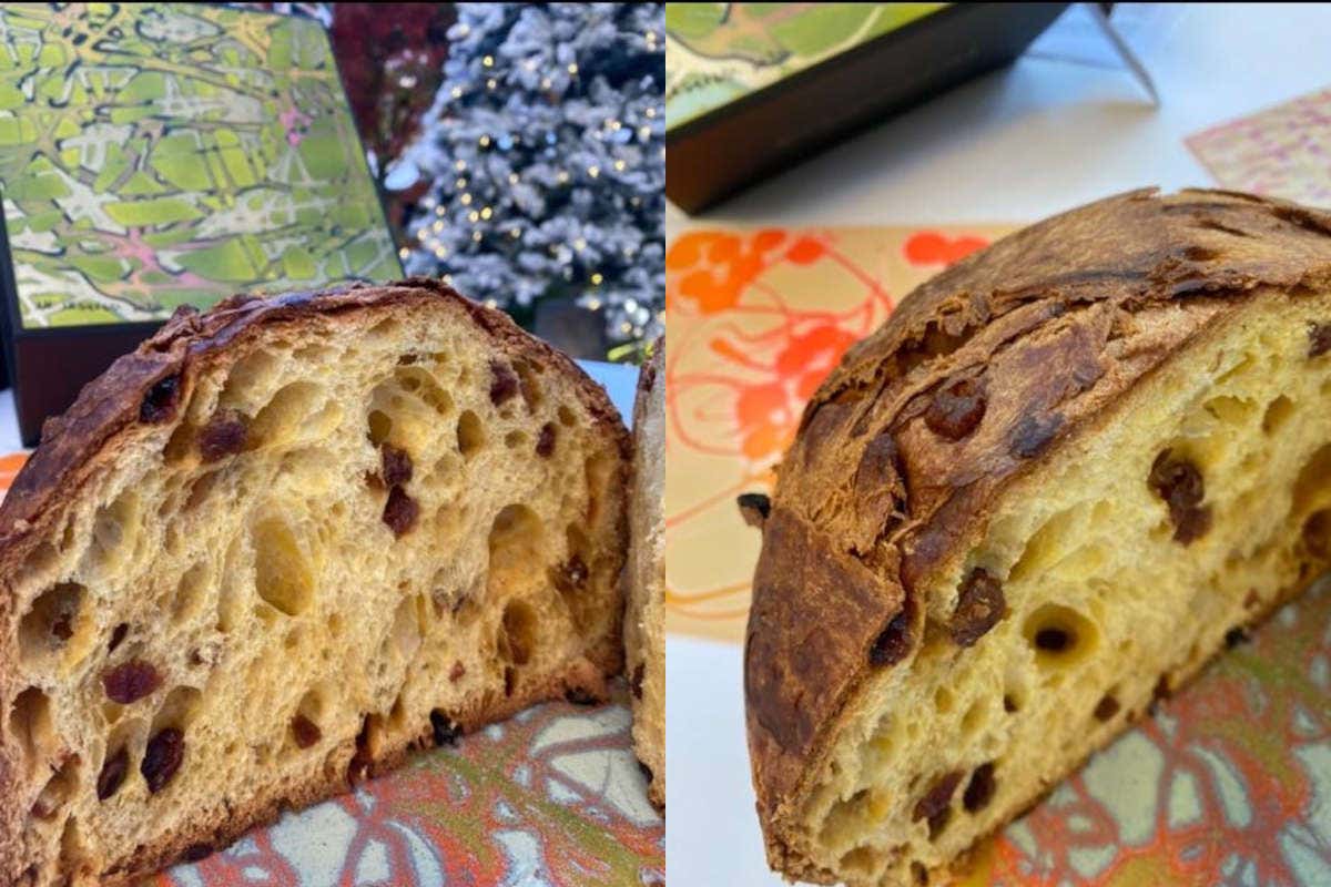Panettone Svmposivm edizione limitata: l’alta pasticceria incontra l’alta moda