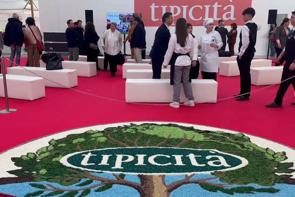 Tipicità Festival è un grande palcoscenico di eventi