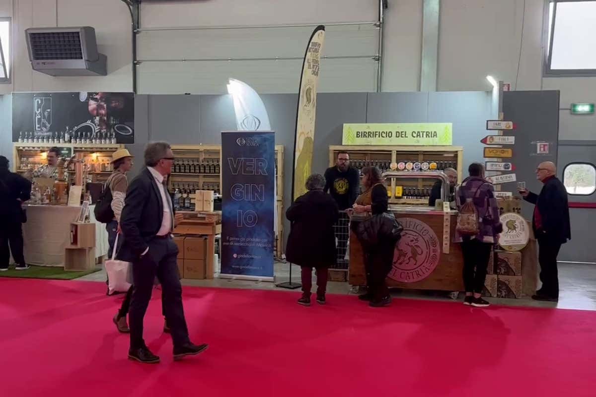 Alcuni degli stand di Tipicità Festival