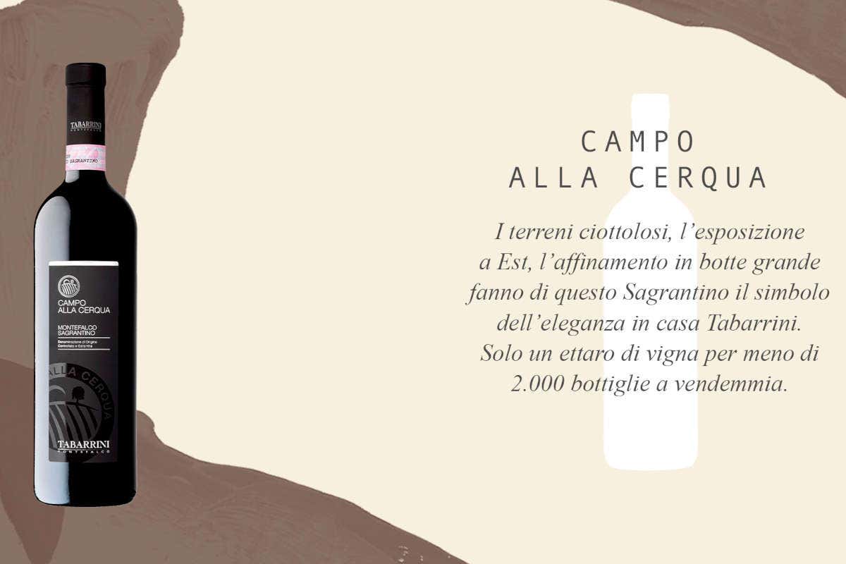 Tabarrini: vini umbri dalla personalità vulcanica Tabarrini: vini umbri dalla personalità vulcanica